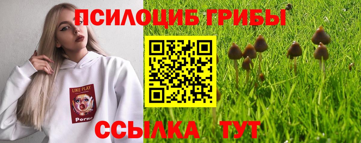 Галлюциногенные грибы мухоморы  наркота  Вход с VPN  Кандалакша  Псилоцибиновые грибы Magic Shrooms 